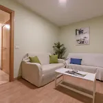 Centro Santiago Apartment Santiago de Compostela